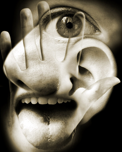 5-senses-more